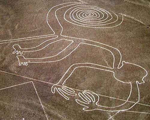 Lineas de Nazca Mono